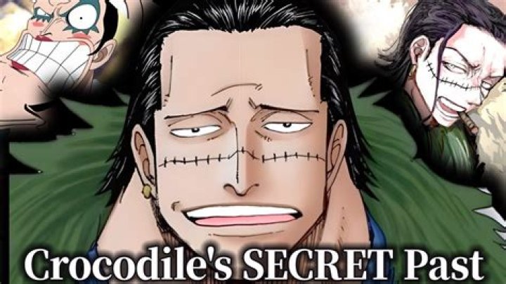 What is Crocodile's secret past?