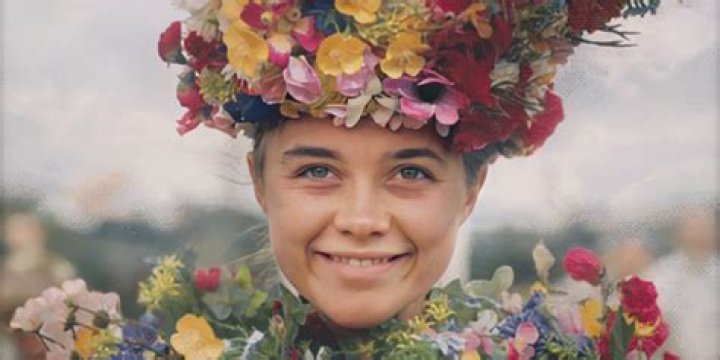 What is Dani studying in midsommar?