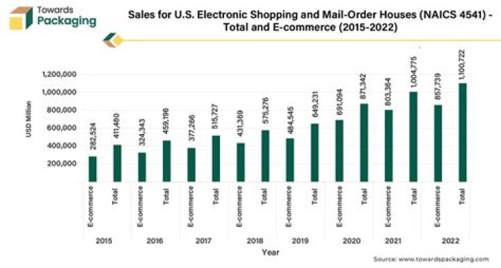What is electronic shopping and mail order houses?