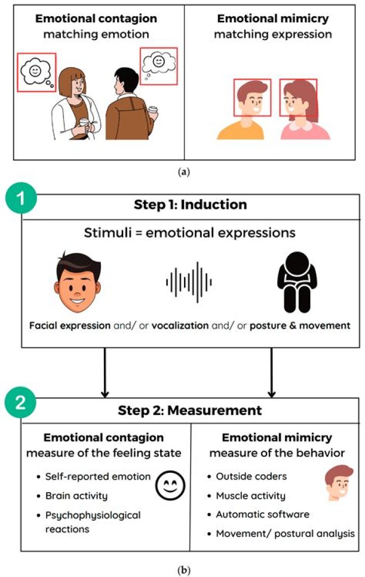 What is emotional mimicry or mirroring?