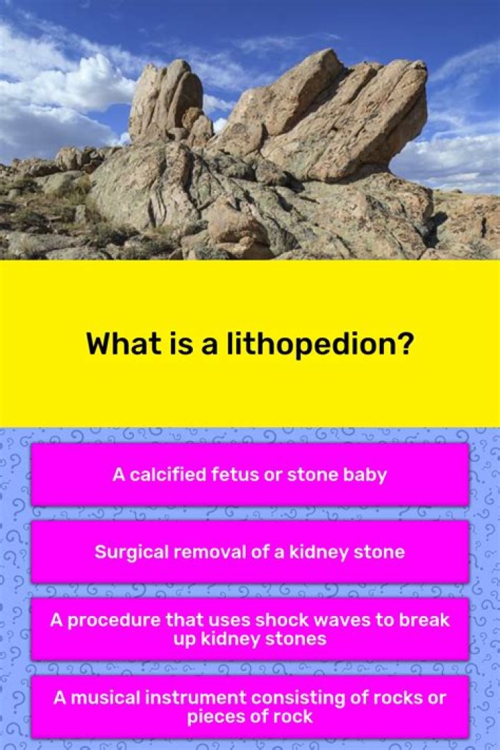 What is Lithopedia?