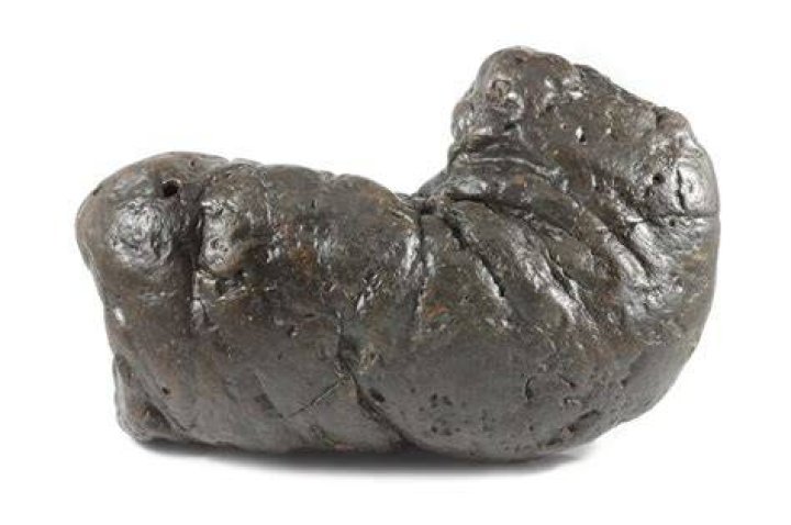 What is manatee poop called?