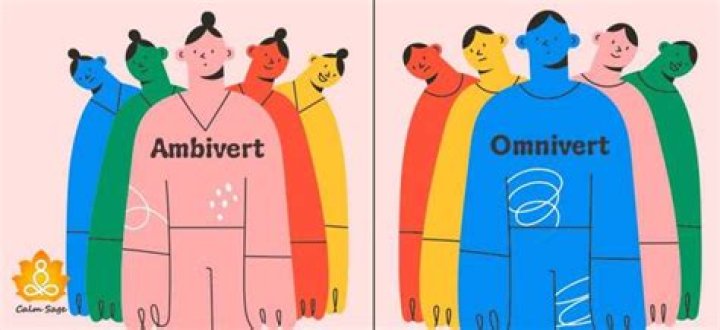 What is Omnivert?