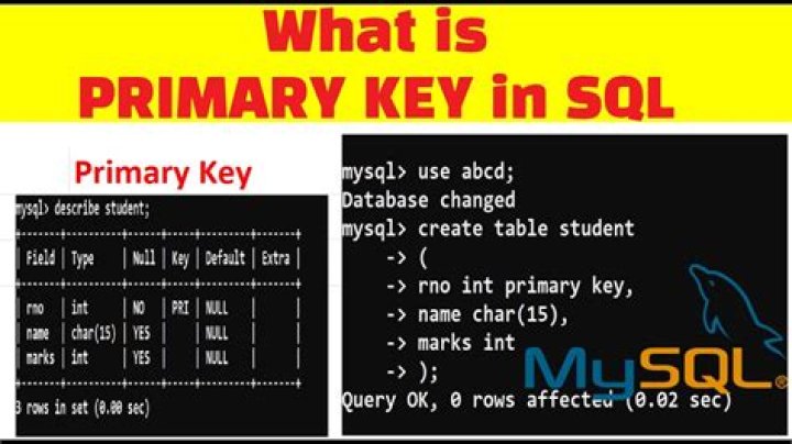 What is primary key SQL?