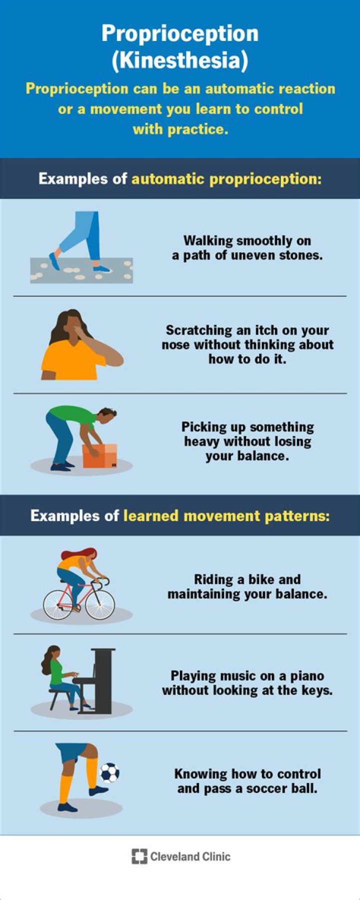 What is proprioception in simple terms?
