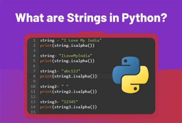 What is \r in Python example?