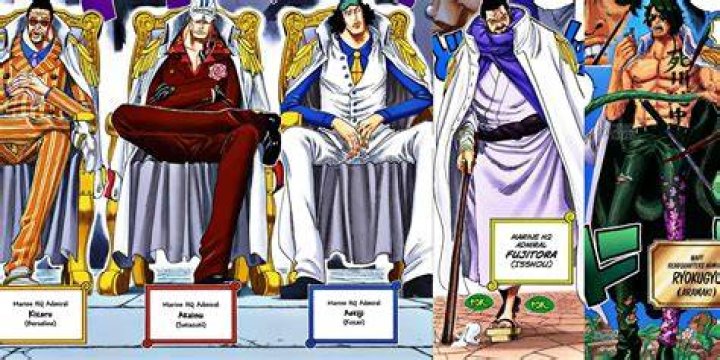 What is Robins name one piece?