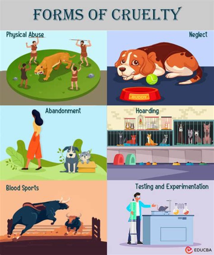 What is section 11 in animal cruelty act?