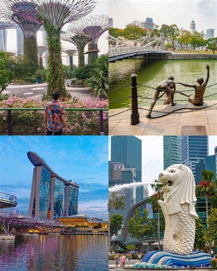 What is Singapore national sport?