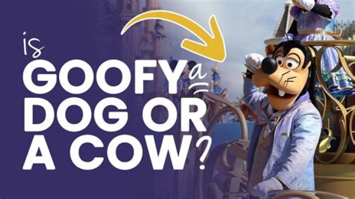 What is smarter a cow or a dog?