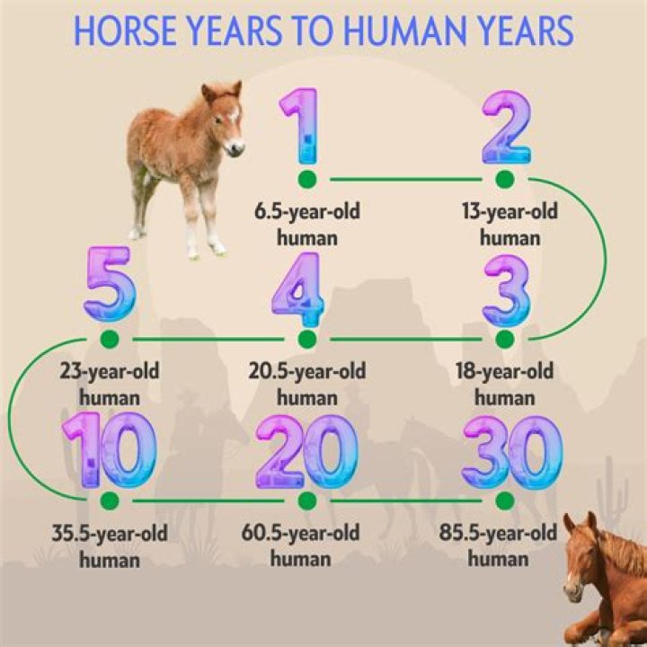 What is the best age to become famous?