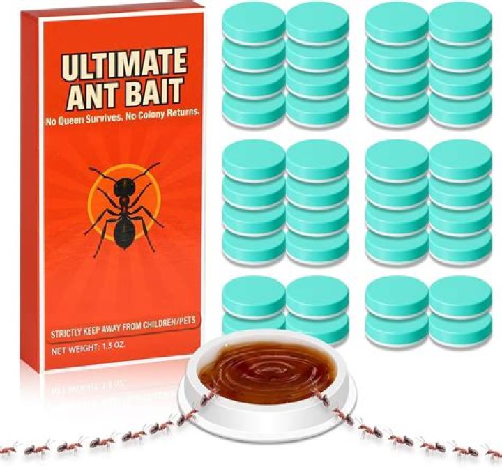 What is the best bait to attract deer?