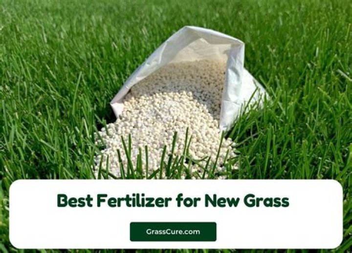 What is the best fertilizer for ryegrass?