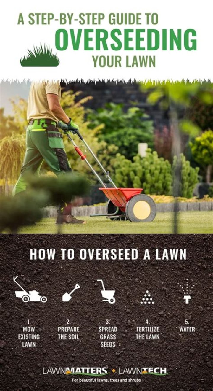 What is the best time to overseed your lawn?