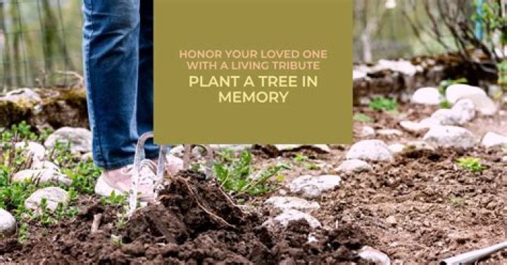 What is the best tree to plant in memory of someone?