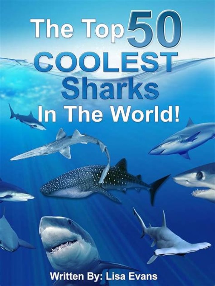 What is the coolest shark?