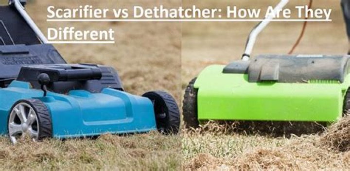 What is the difference between scarifying and dethatching?