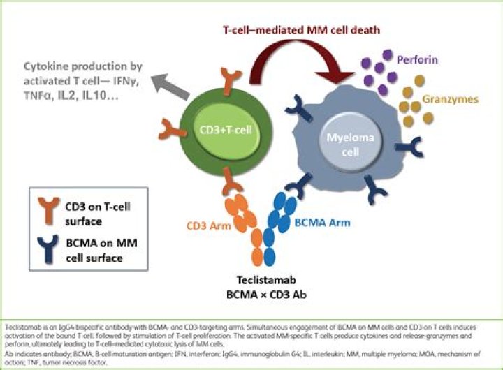 What is the effect of Actemra on patients with COVID-19?