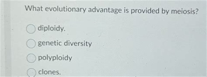 What is the evolutionary significance of meiosis quizlet?