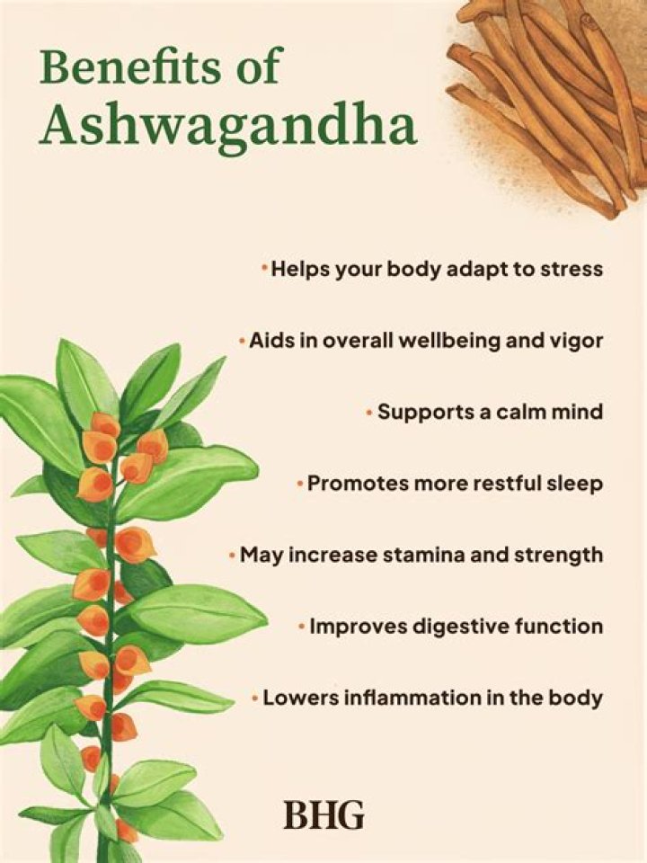 What is the herb ashwagandha good for?