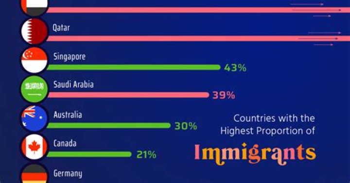 What is the immigrant experience like?