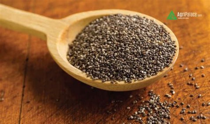What is the Indian name for chia seeds?