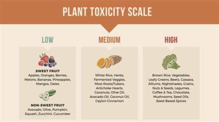 What is the least toxic vegetable?