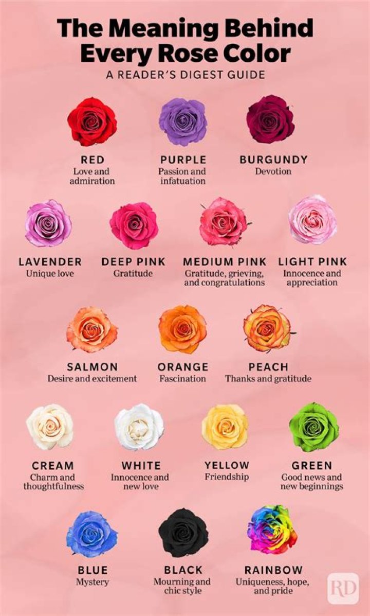 What is the meaning of 13 roses?