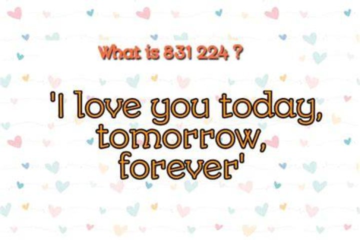 What is the meaning of 831 224?