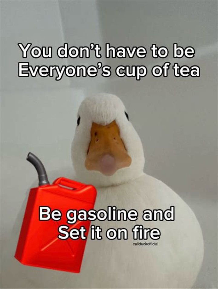 What is the meaning of no one's cup of tea?