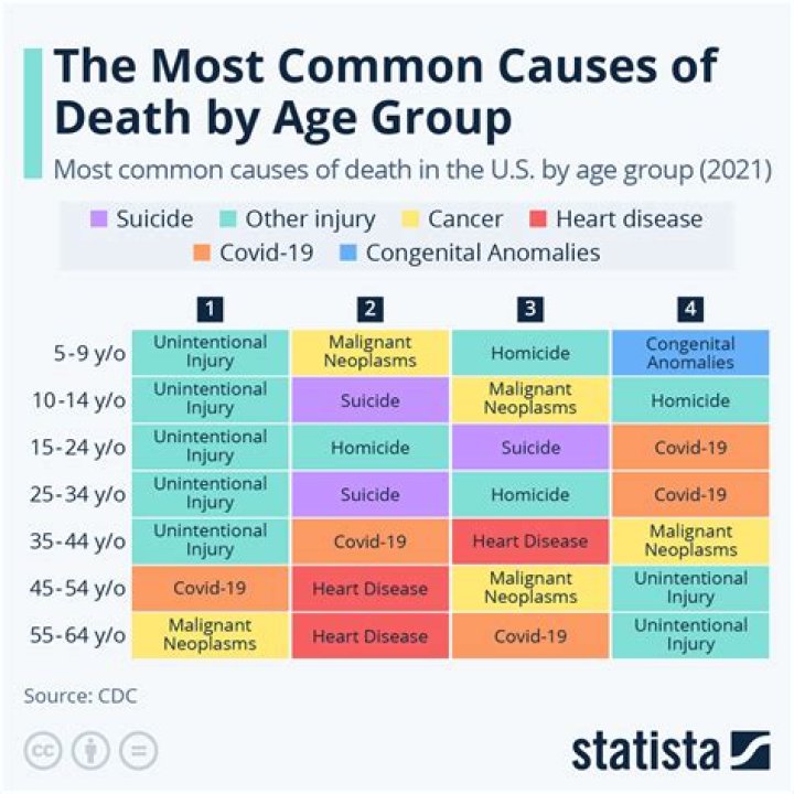 What is the most common cause of death in rabbits?