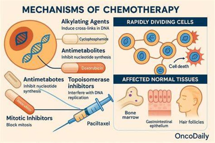 What is the most common side effect of chemotherapy?