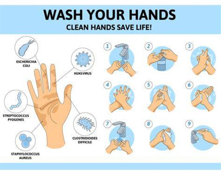 What is the most hygienic way to wash your body?