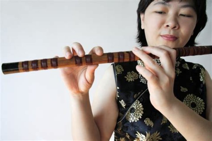 What is the most popular Chinese instrument?