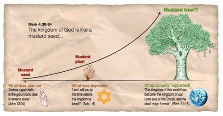What is the mustard seed in the Bible?