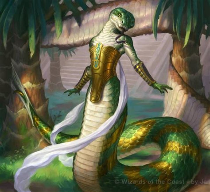 What is the Naga?