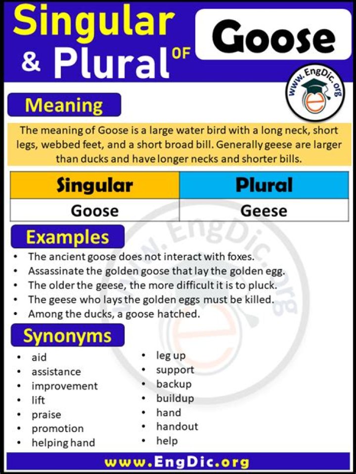 What is the plural of goose?