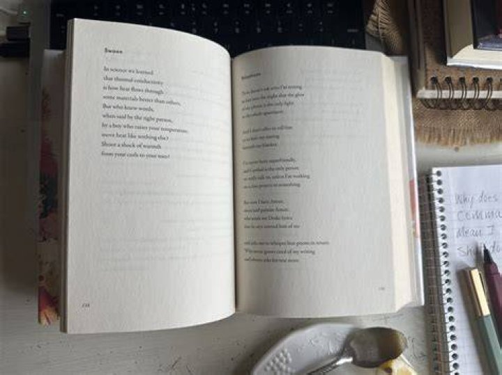 What is the poet's attitude?