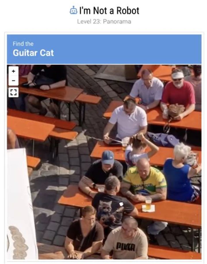 What is the robot reply?