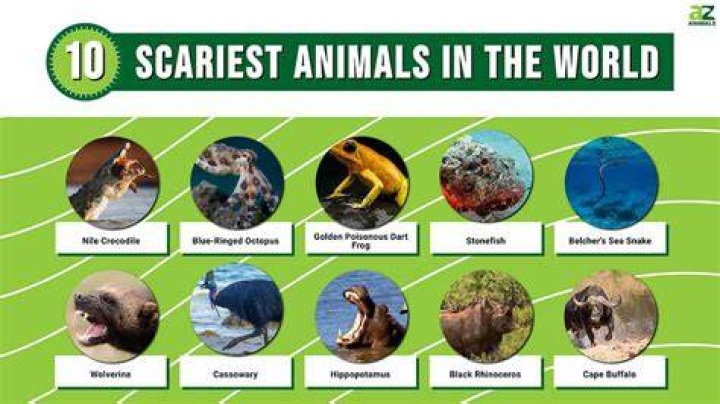 What is the scariest animal in the world 2021?