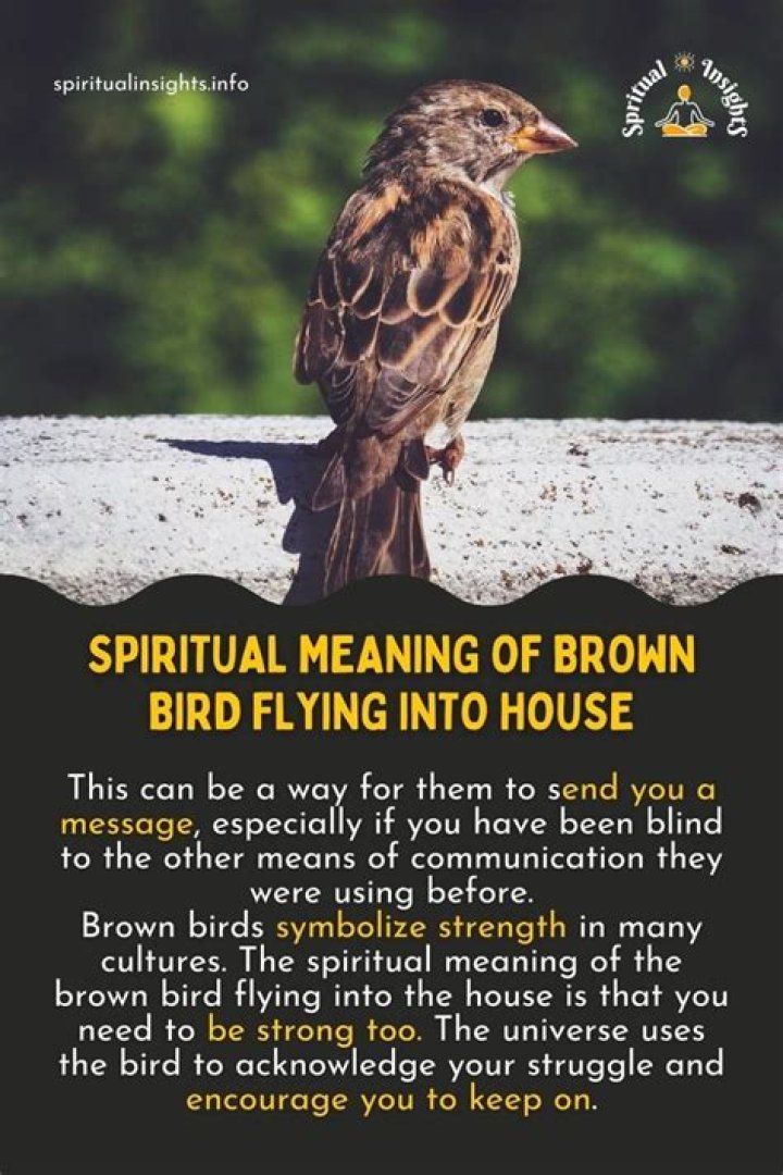 What is the spiritual meaning of a bird flying around your house?