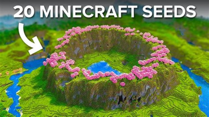 What is the swamp seed in Minecraft?