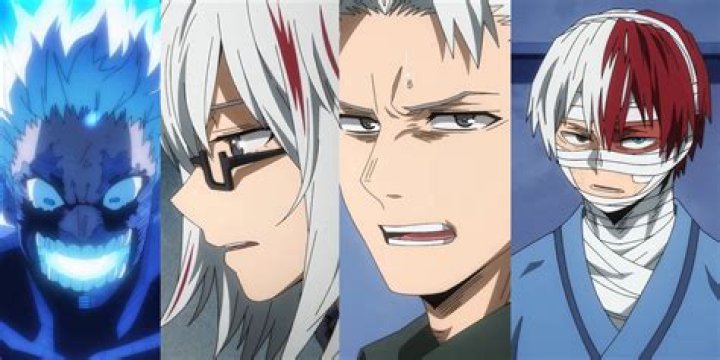 What is Todoroki's sisters quirk?