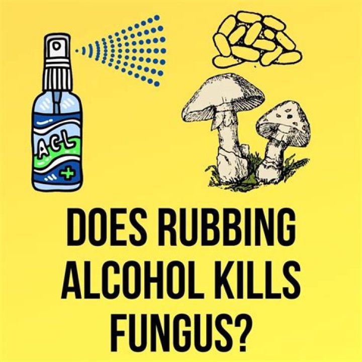 What kills fungus on skin?