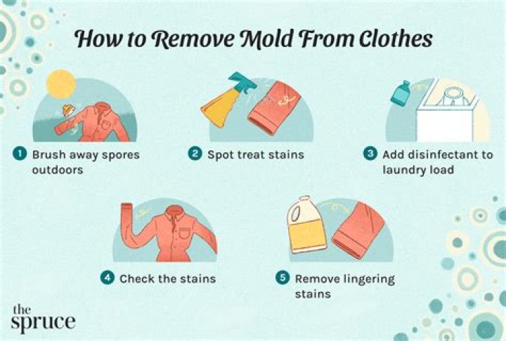 What kills mold on clothes?
