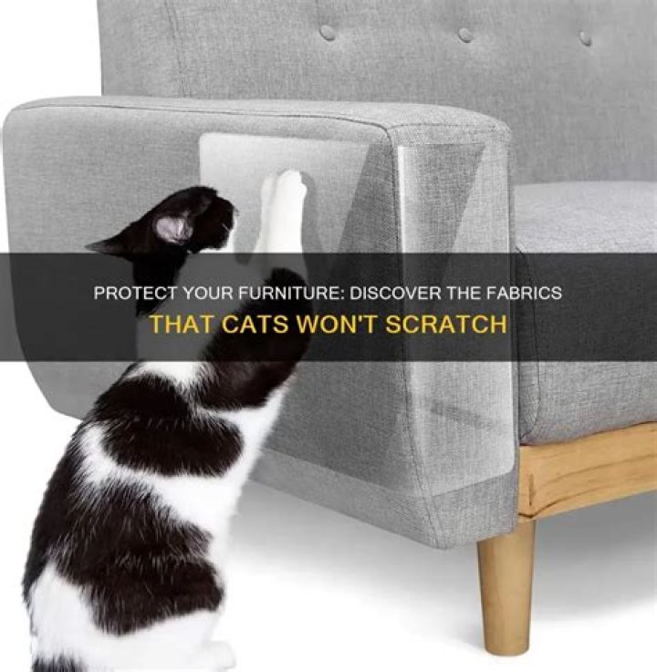What kind of fabric will cats not scratch?