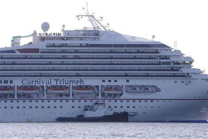 What kind of fuel do cruise ships burn?