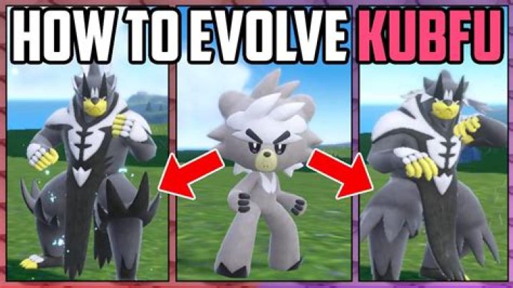 What Kubfu form is better?