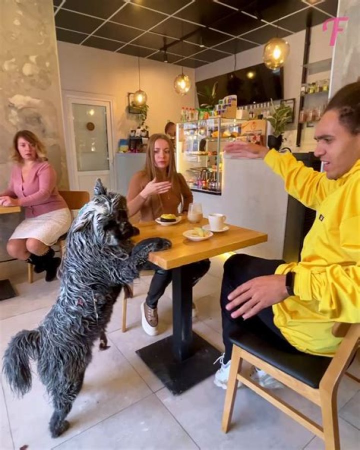 What makes a dog smile?
