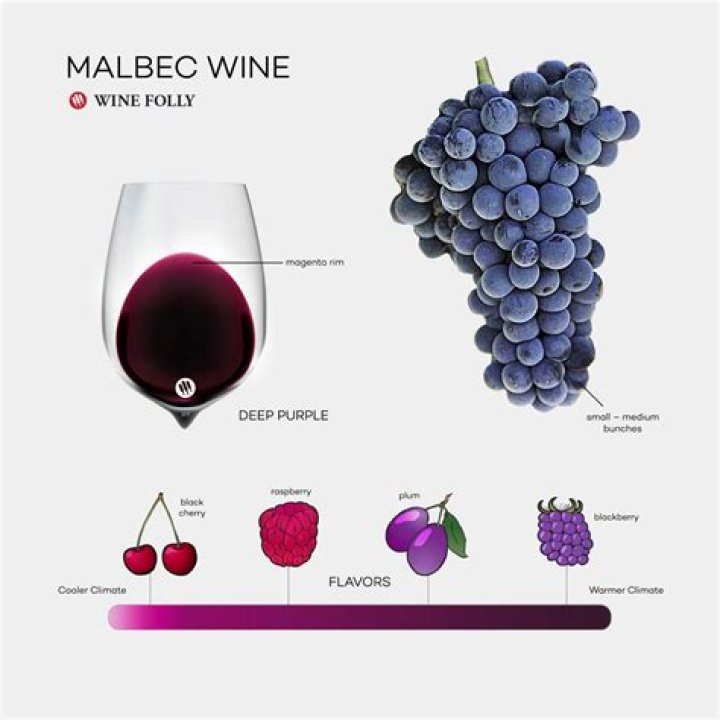 What makes a Malbec a Malbec?